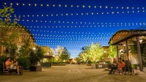 things to do in provo