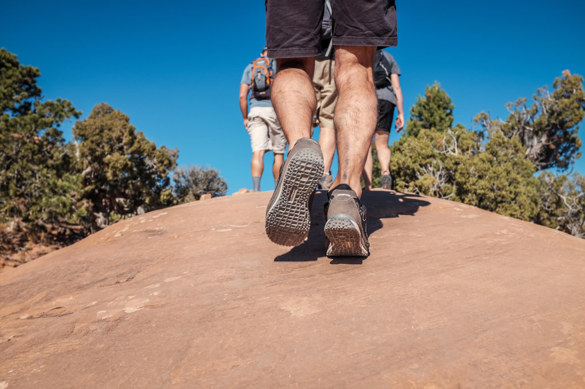 Hiking yellowstone 2024 in july