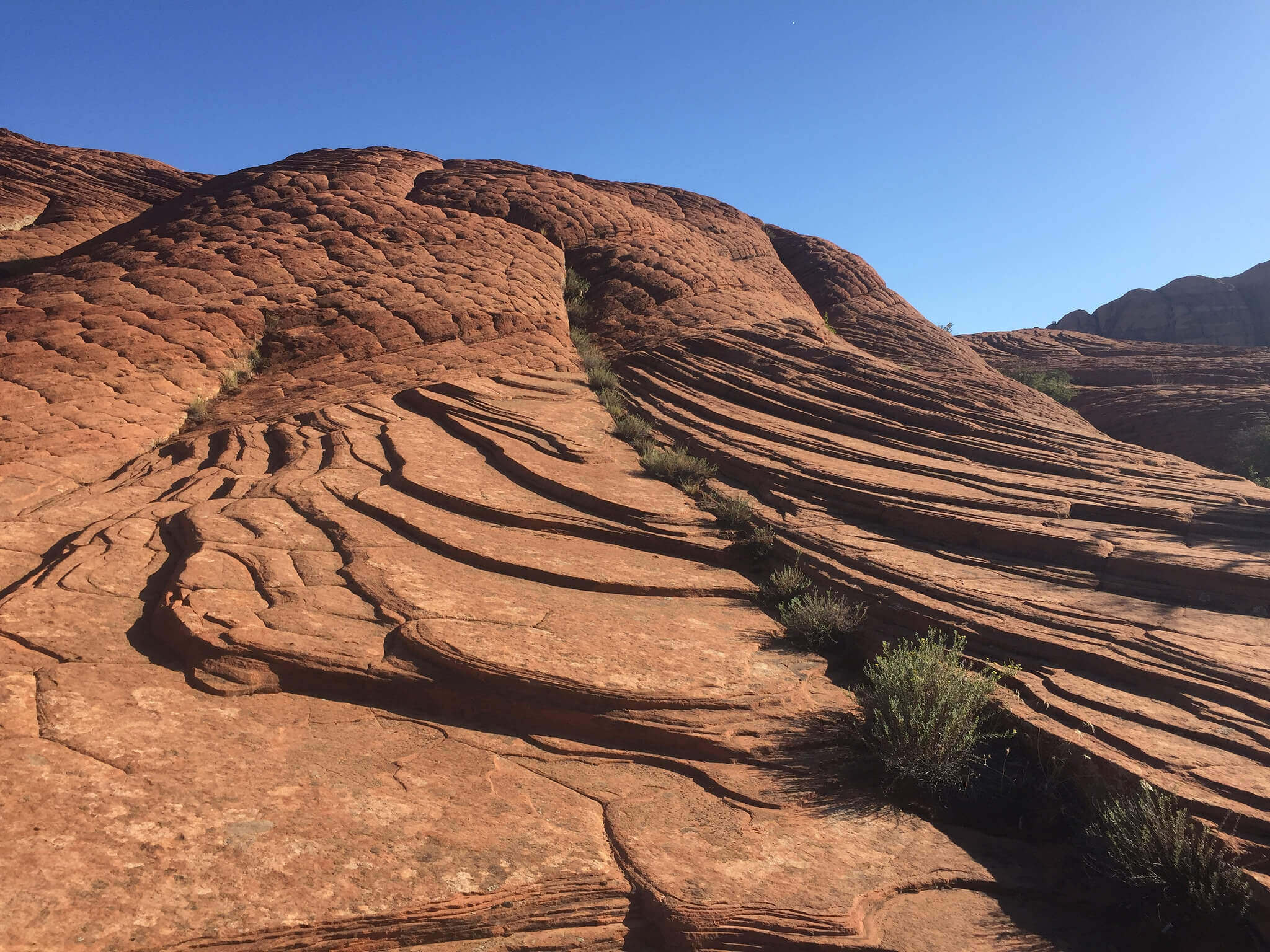 snow-canyon-state-park-3 - Salt Lake Express